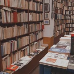 dia-de-las-librerias-madrid-dedalus