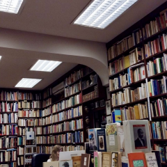 ivan-bustinduy-libreria-dedalus-madrid