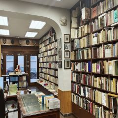 lectores-libreria-dedalus-calle-los-madrazo-26-madrid-libros