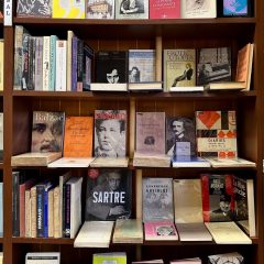 libreria-dedalus-madrid-los-madrazo-26-literatura-en-idiomas-libros-en-ingles-frances-italiano-aleman