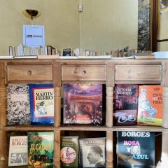 mercadillo-embajada-argentina-en-españa-1-libros