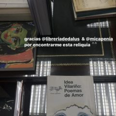raquel-bada-directora-bamba-editorial-libro-libreria-dedalus-idea-vilariño-poemas-de-amor-schapire